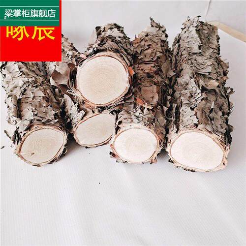 木铁桦树桦木原木铁桦原木装饰树隔断橱窗隔断湿木料