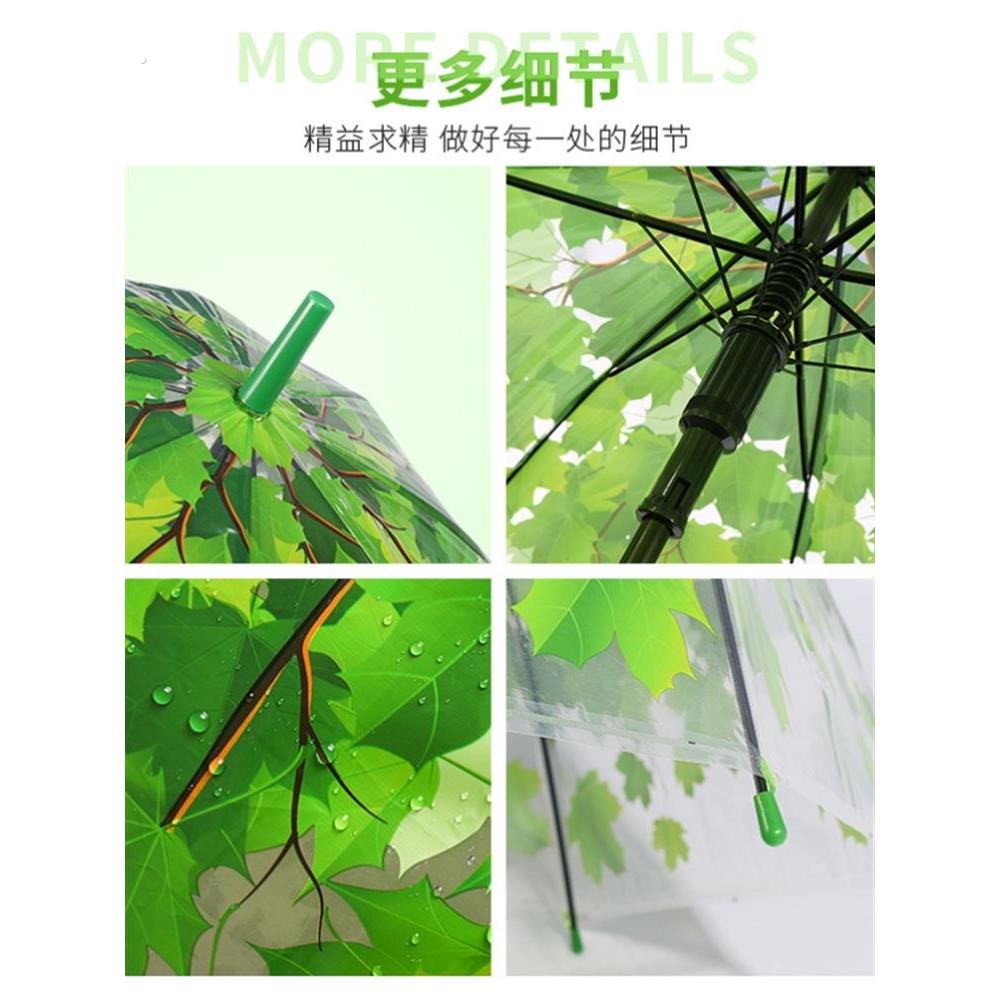 个性创意树叶透明伞小清新阿波罗伞长柄伞拱形枫叶雨伞蘑菇公主伞