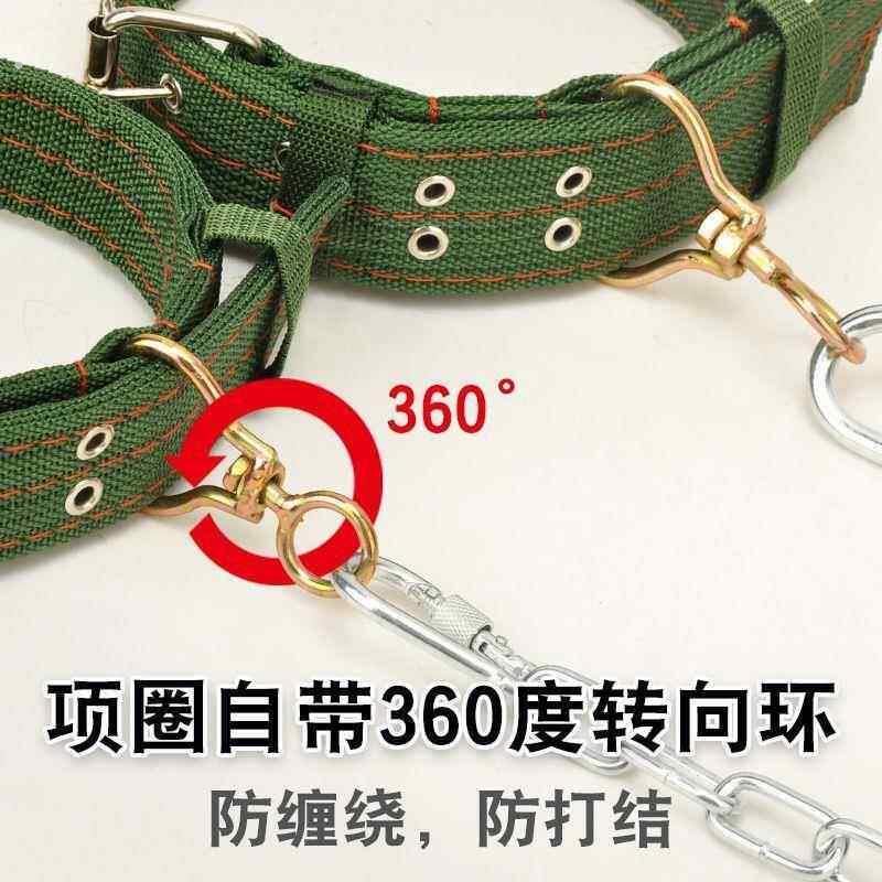 防咬牵引绳拴狗铁炼加长5米家用狗炼子加粗铁炼条狗项圈脖套遛狗