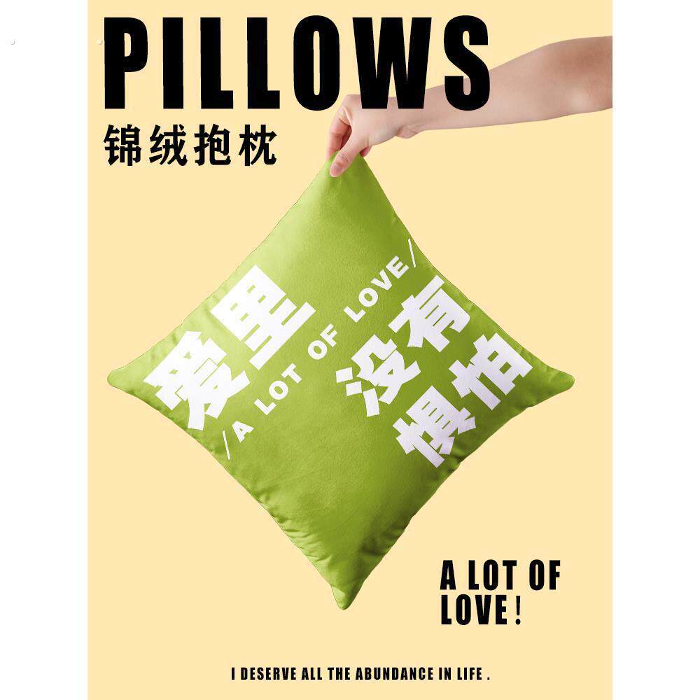 趣味文字梗抱枕靠枕车载方形靠垫枕头客厅沙发办公室创意护腰靠背