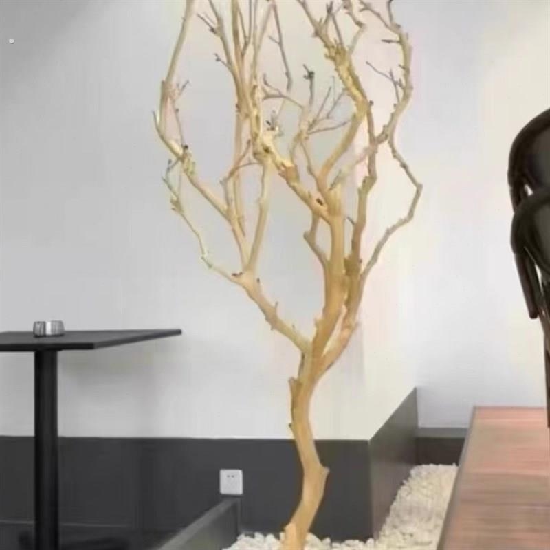 树枝树干装饰去皮干树枝造景原木干枝枯树枝架子摆件艺术造型树杈