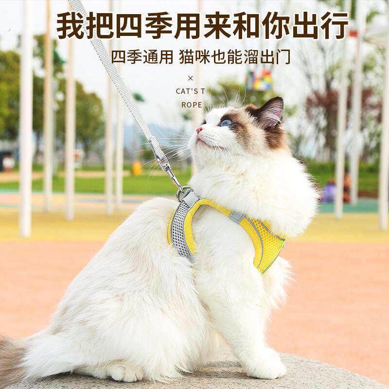 小体犬幼犬专用牵引绳超小体约克夏胸背茶杯犬1斤狗绳小鹿犬狗狗