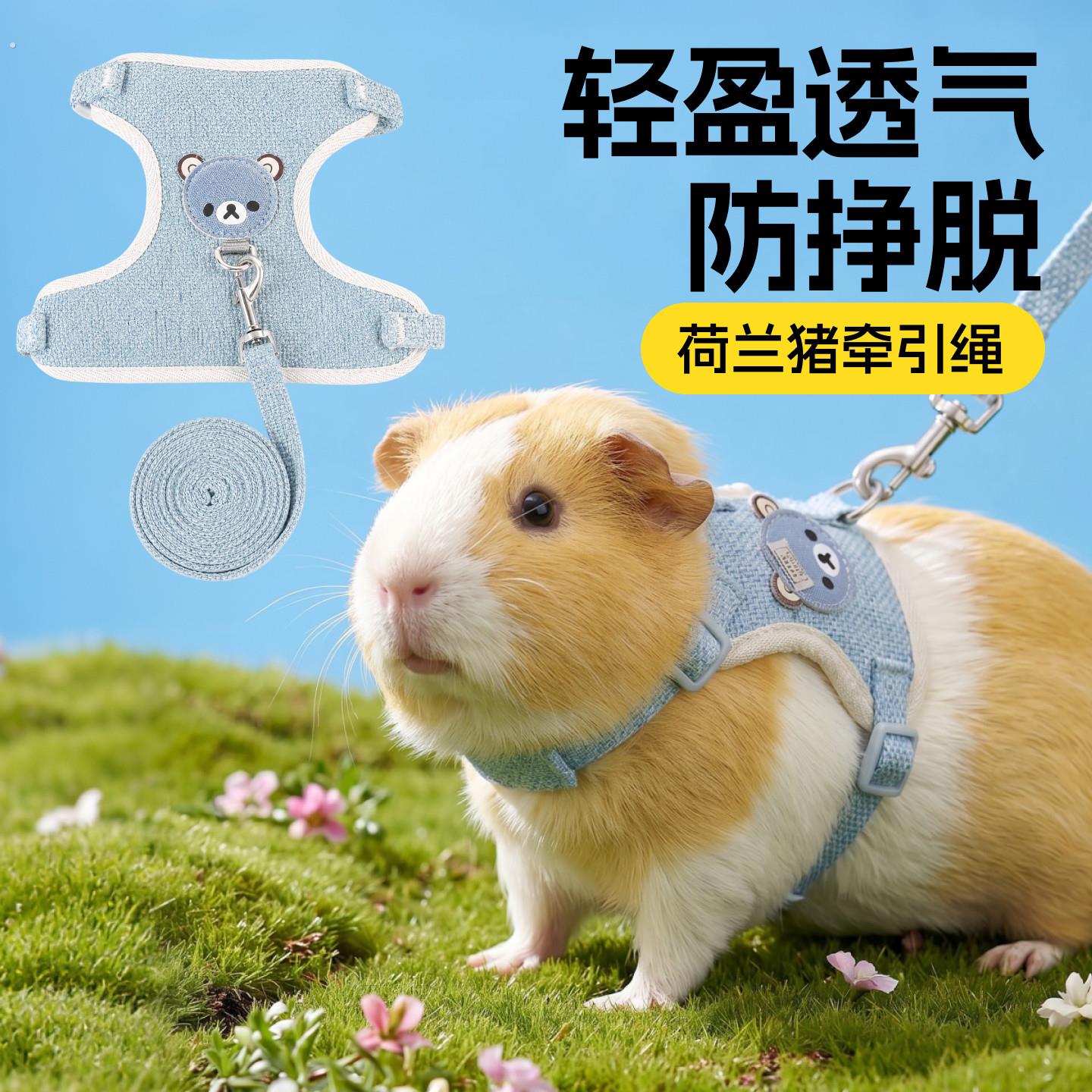 荷兰猪牵引绳仓鼠防挣脱背心式侏儒兔外出专用溜兔绳小宠用品大全