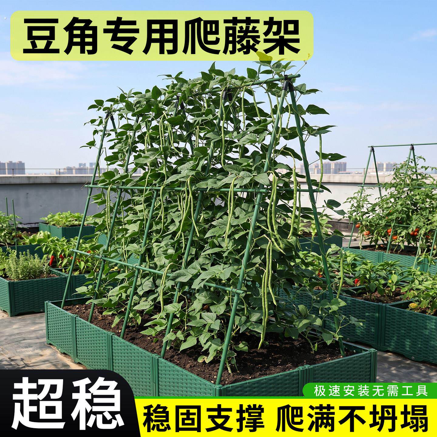 爬藤架杆楼顶种菜架子丝瓜豆角蔬菜爬藤架搭棚子支架西瓜支撑杆