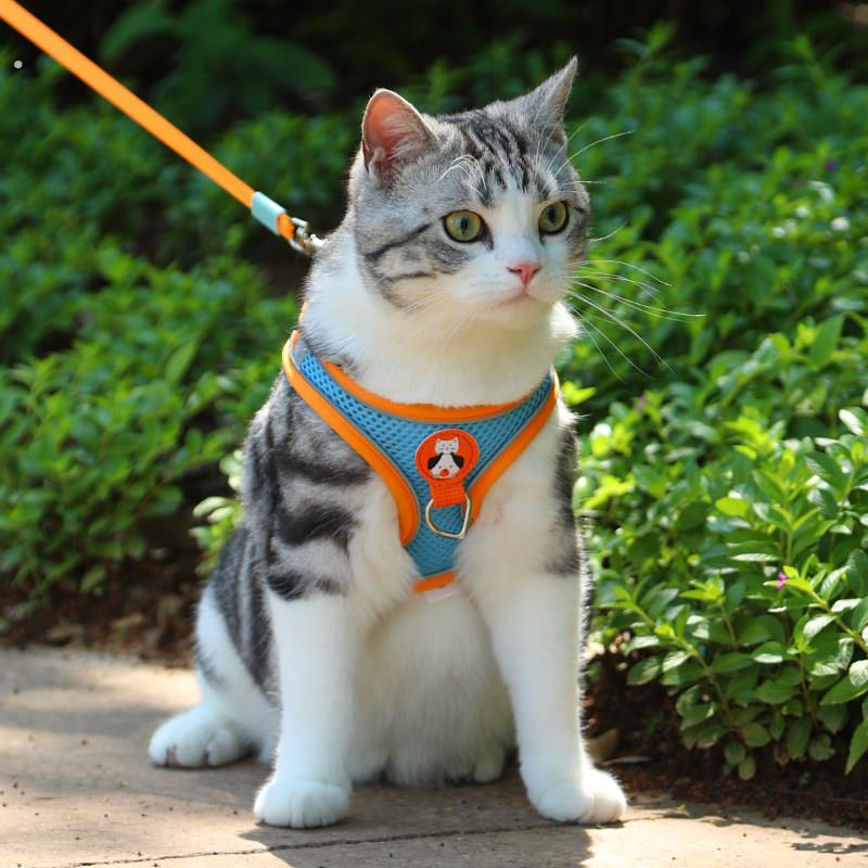 猫咪牵引绳防挣脱不勒脖外出专用可伸缩猫绳小型犬胸抱婴袋遛猫宠