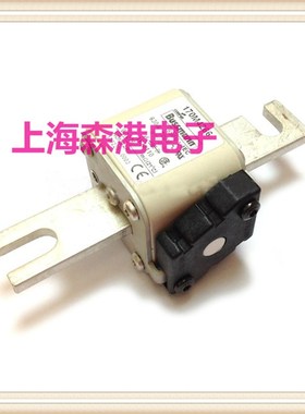 熔断器保险丝熔芯底座170M4266