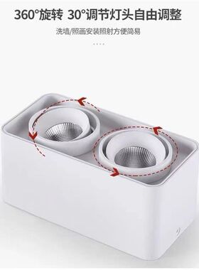 明装筒灯客厅无主灯照明盒子灯双头斗胆灯格栅灯过道玄关吸顶射灯