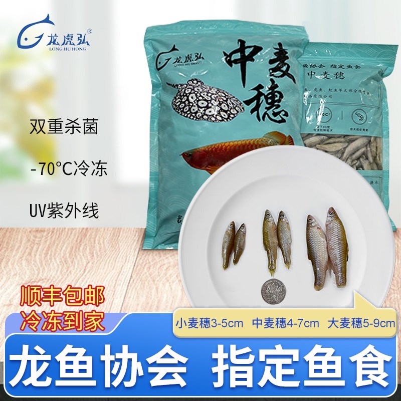 龙虎弘2斤冷冻鱼食高蛋白 龙虎魟 营养龟粮河虾泥鳅虾段丁鱼麦穗