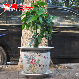 景德镇陶瓷花盆粉彩新中式特大号室内外树盆兰花钵种发财树装饰