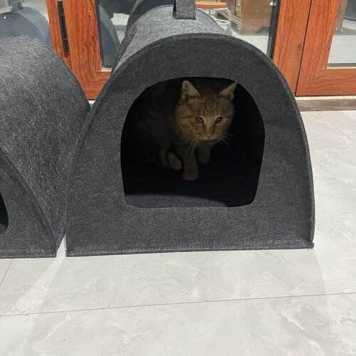 大尺寸猫窝四季通用猫窝猫咪产房大空间四季通用猫房子猫笼子毛毡
