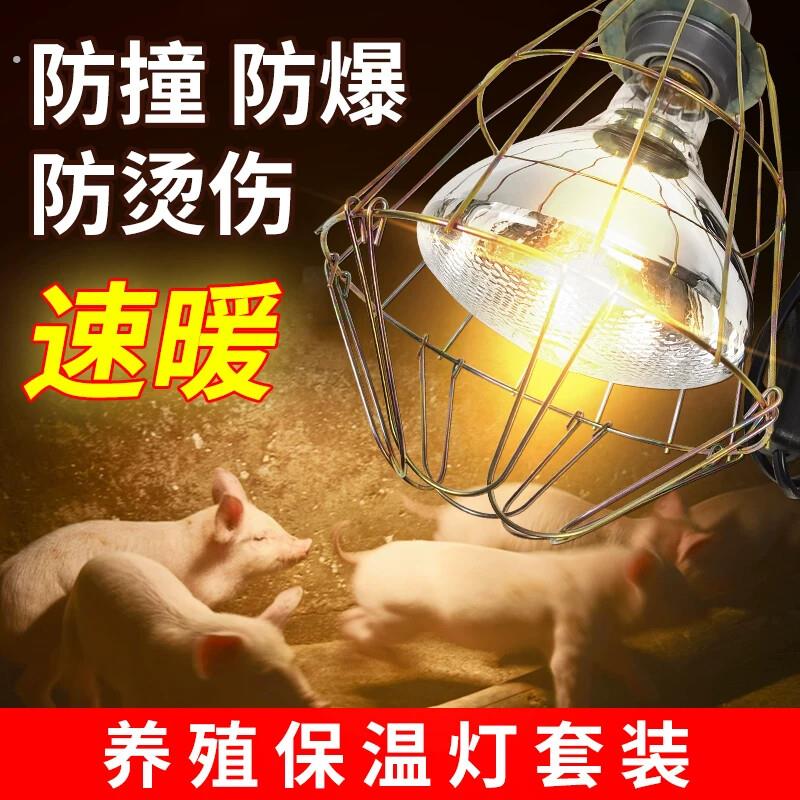 宠物取暖灯狗狗窝动物专用烤灯猪场灯罩养殖场小鸡育雏加热保温灯