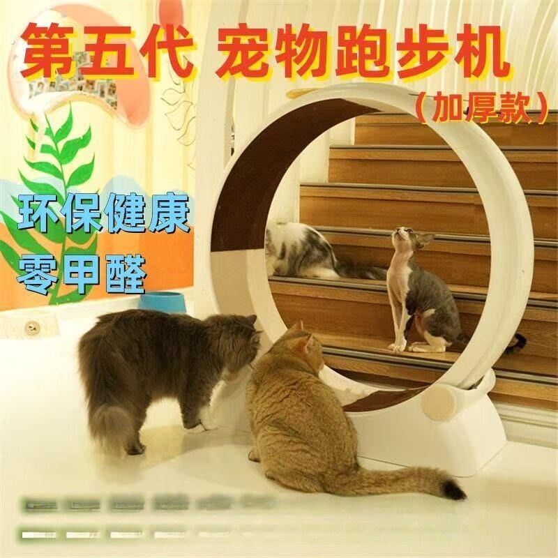 猫咪跑步机滚轮静音环保塑料宠物跑步机猫狗运动健身防夹宽跑道