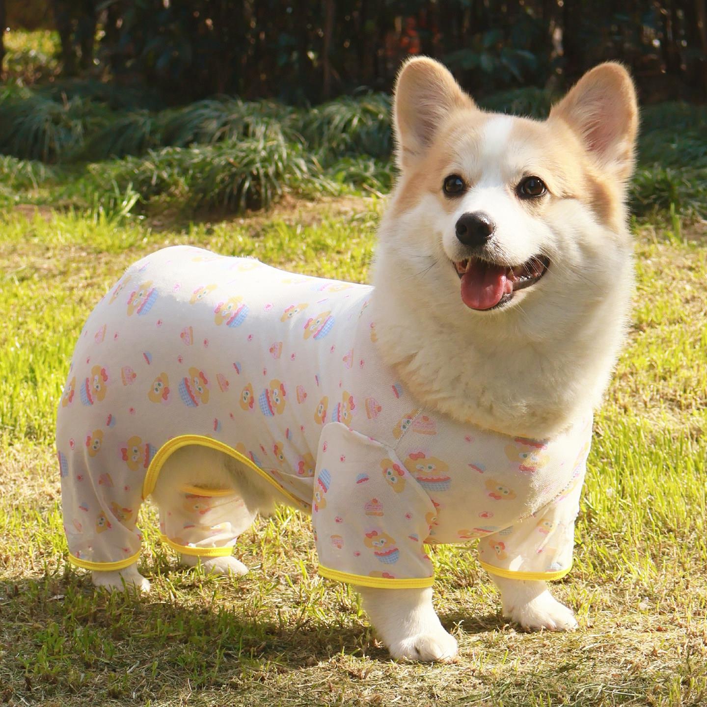 柯基柴犬春夏天狗狗衣服网纱薄防晒防掉毛防脏宠物睡衣四脚家居服