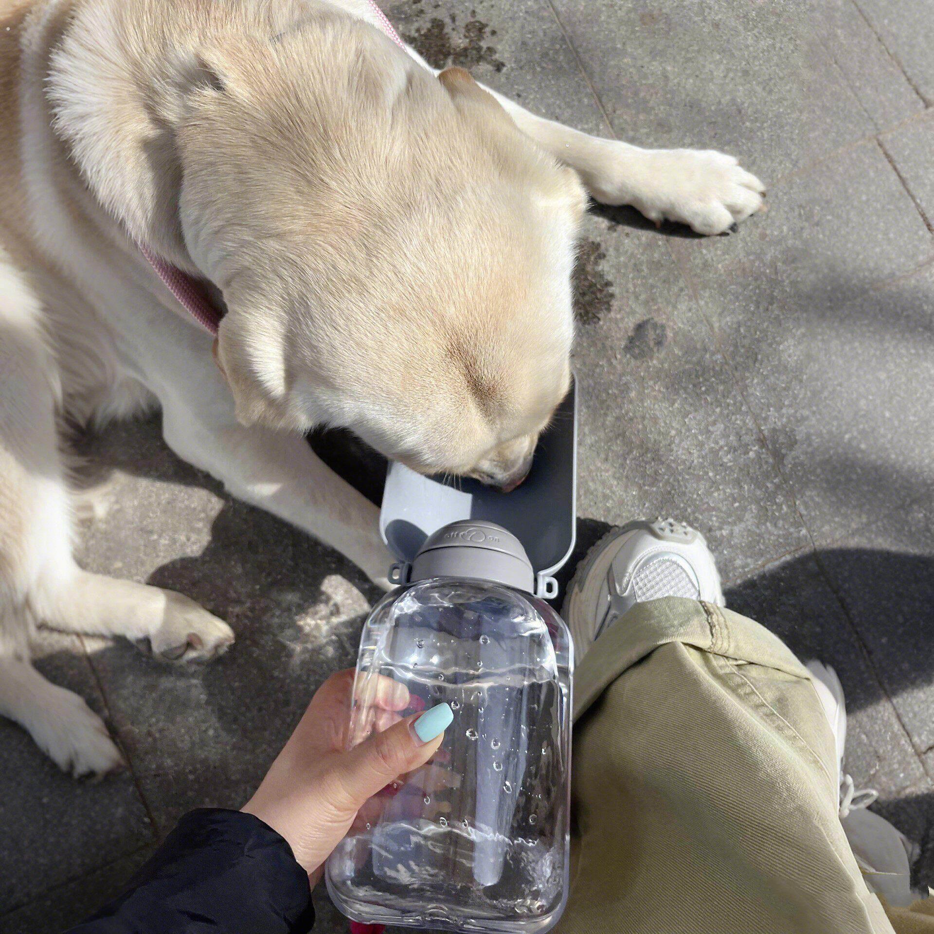 狗狗外出水杯可携式宠物户外饮水吨吨桶狗水壶二合一喝水随行杯子