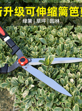 园林草坪修枝剪伸缩大剪刀花木树枝果树绿篱剪篱笆剪园艺工具家用