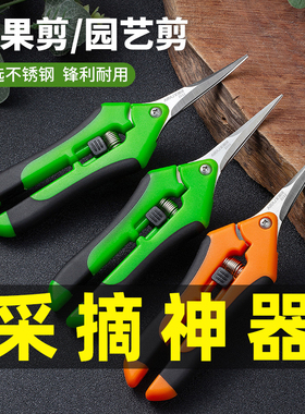 园艺剪刀修枝剪修剪树枝修剪花蔬果专用采摘果剪葡萄工具剪刀花剪