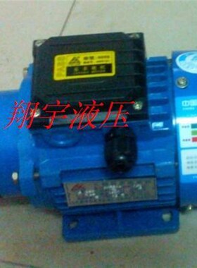 BRB-3JZ(120W,220V微型齿轮油泵电机装置 三角润滑泵装置