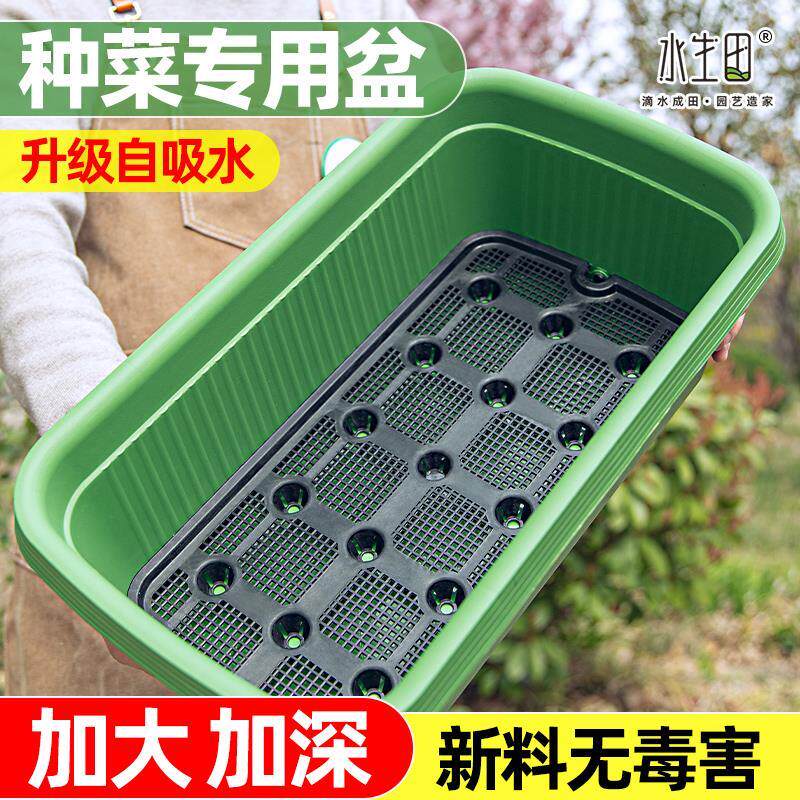 阳台种菜盆神器家庭种菜专用箱自吸水花盆懒人自动储水塑料种植箱