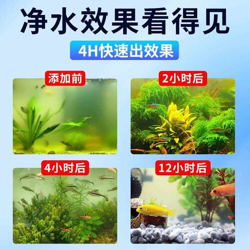 鱼缸净水剂一滴清水质清澈剂专用净水王鱼池除藻剂除氯硝化细菌