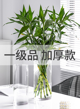 花瓶摆件客厅插花玻璃透明高直筒水培富贵竹水养鲜花高级感醒花桶