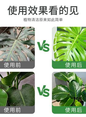 贝可施花卉除污剂一喷净植物叶面光亮清洁洗剂旗免稀释叶面肥料