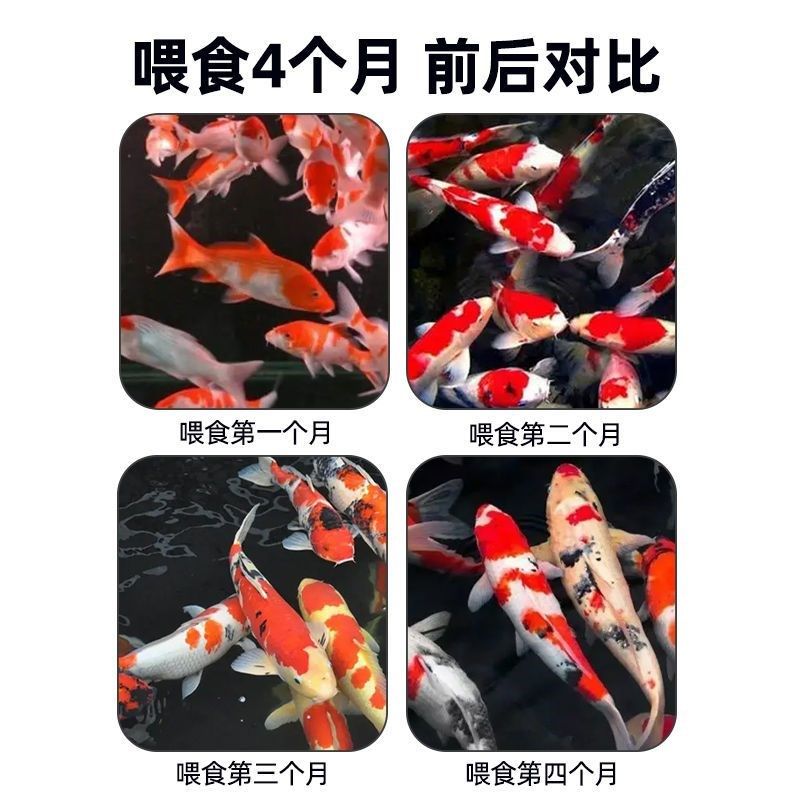 通威鱼饲料鲈鱼观赏鱼锦鲤肉食性高蛋白浮水浓腥饲料养殖专用颗粒