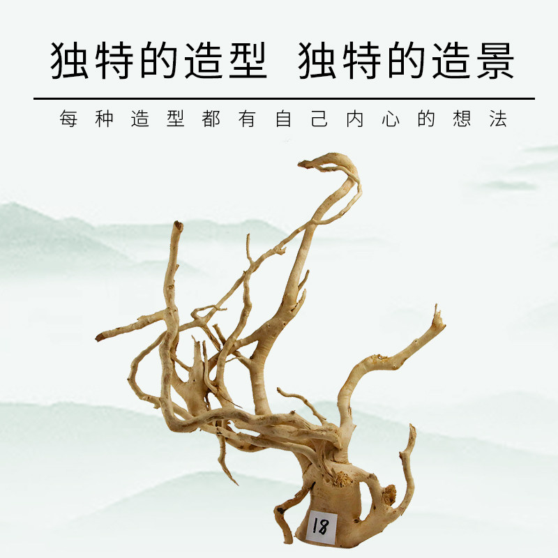 寄居蟹攀爬杜鹃根摆件一物一拍鱼缸天然造景森林木头小号枯木树桩图片
