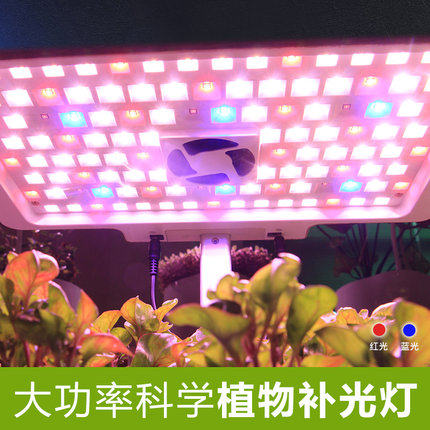 智能水培种菜机无土栽培自动化设备家庭室内种植箱新侬菜园