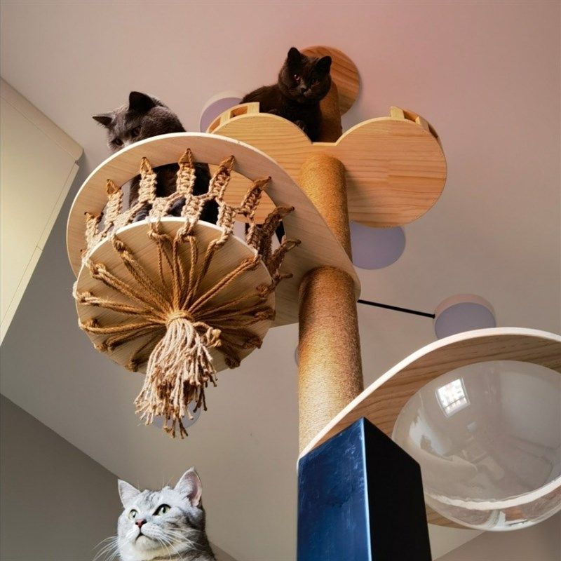 DIY花篮通天柱配件 吊床 太空舱 实木猫爬架通天柱猫树猫抓柱猫窝