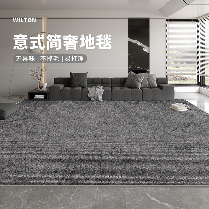 客厅地毯免洗可擦洗意式极简2024新款地垫轻奢高级感家用沙发茶几
