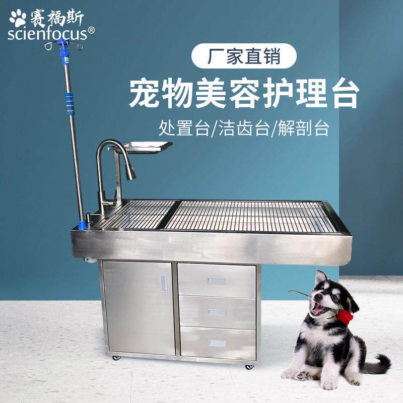赛福斯动物处置台狗狗洁齿不锈钢解剖猫清洁护理美容桌宠物手术台