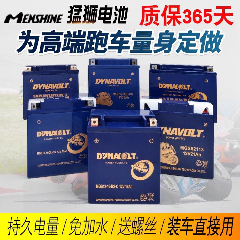 猛狮摩托车春风哈雷电瓶12V7A9A踏板125蓄电池免维护豪爵铃木锂电