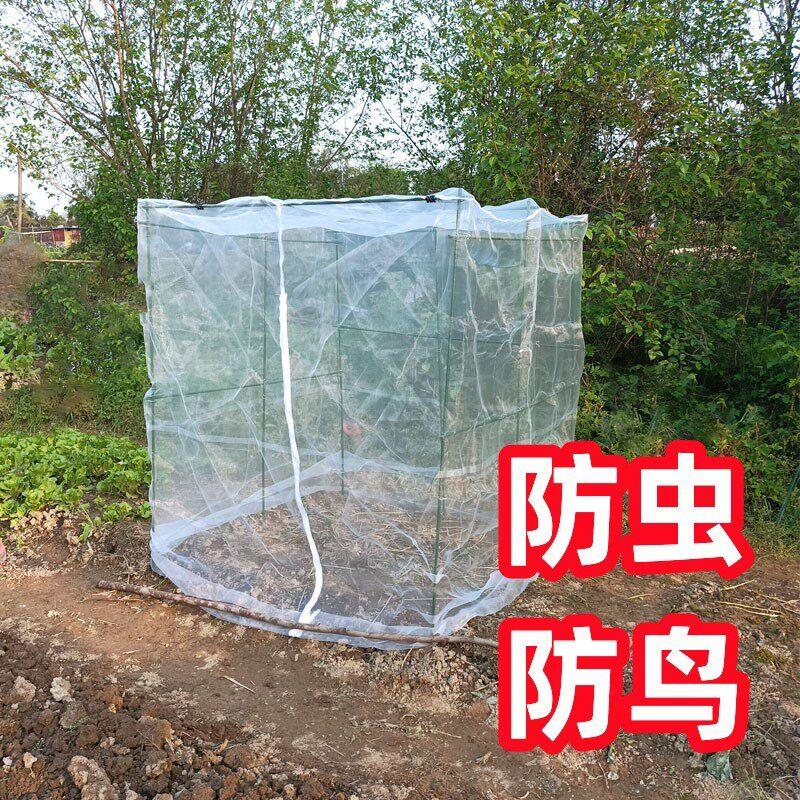 农用蚊帐型防虫网种菜专用网 蔬菜防虫网纱网 菜地防鸟罩植物大棚