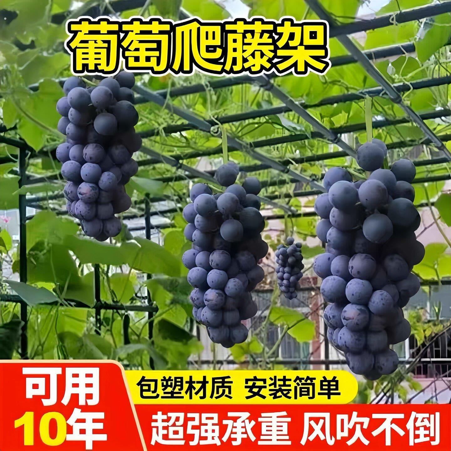 葡萄架子庭院户外黄瓜农小院葡萄架猕猴桃爬藤架黄瓜丝瓜支撑村杆