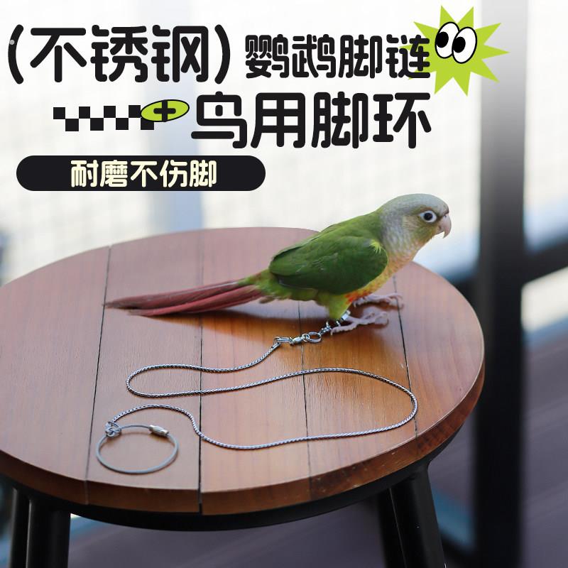 鹦鹉不锈钢脚链脚环不伤脚虎皮玄凤小太阳专用外出牵引绳遛鸟神器