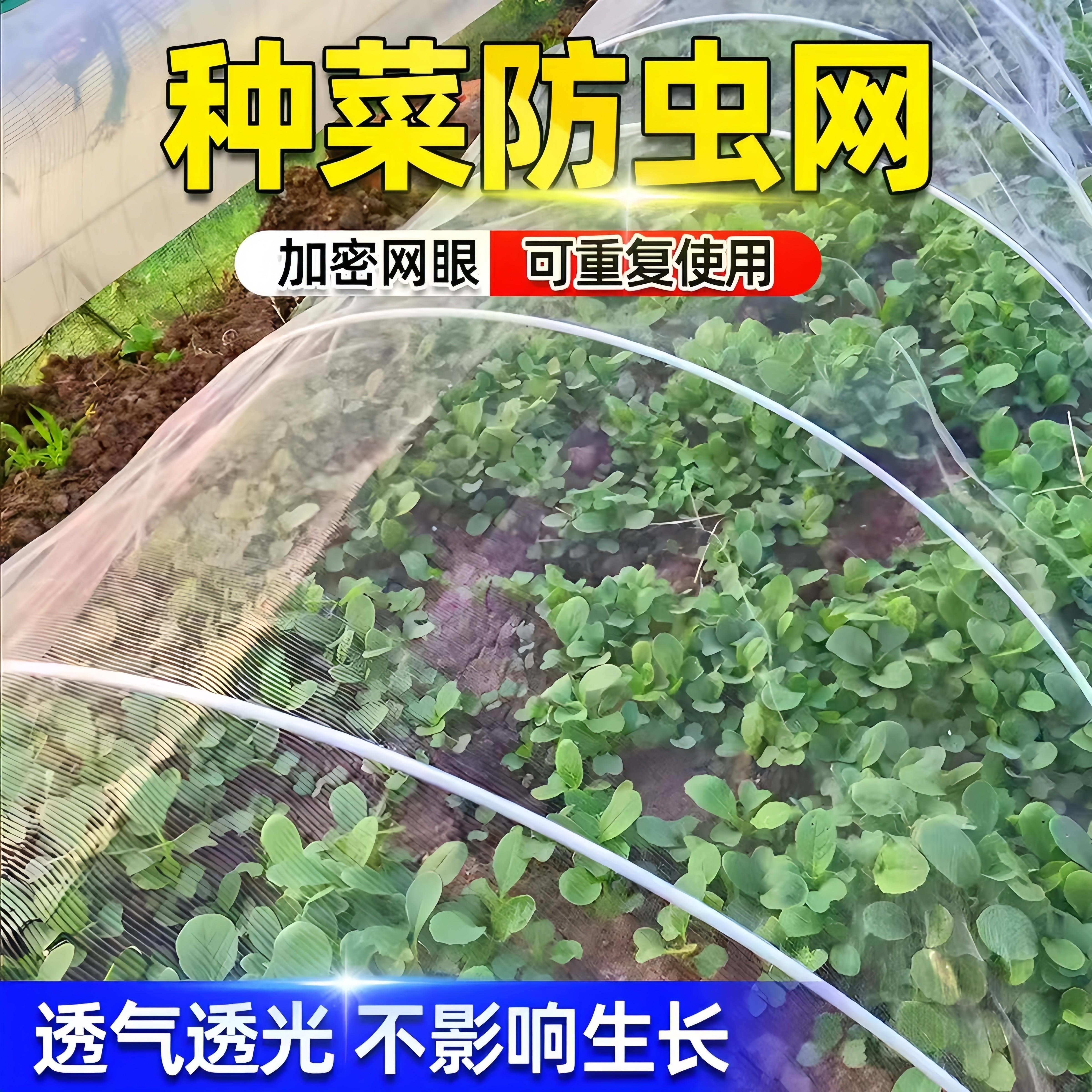 防虫网种菜专用蔬菜大棚养殖网罩0目80目农用加密网眼蔬菜防6护网