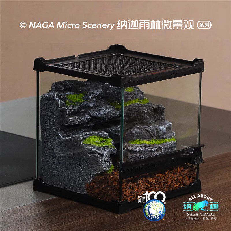 雨林爬宠玻璃缸饲养蛇守宫蜥蜴角蛙蝎龟蜘蛛树陆栖生态装饰造景箱