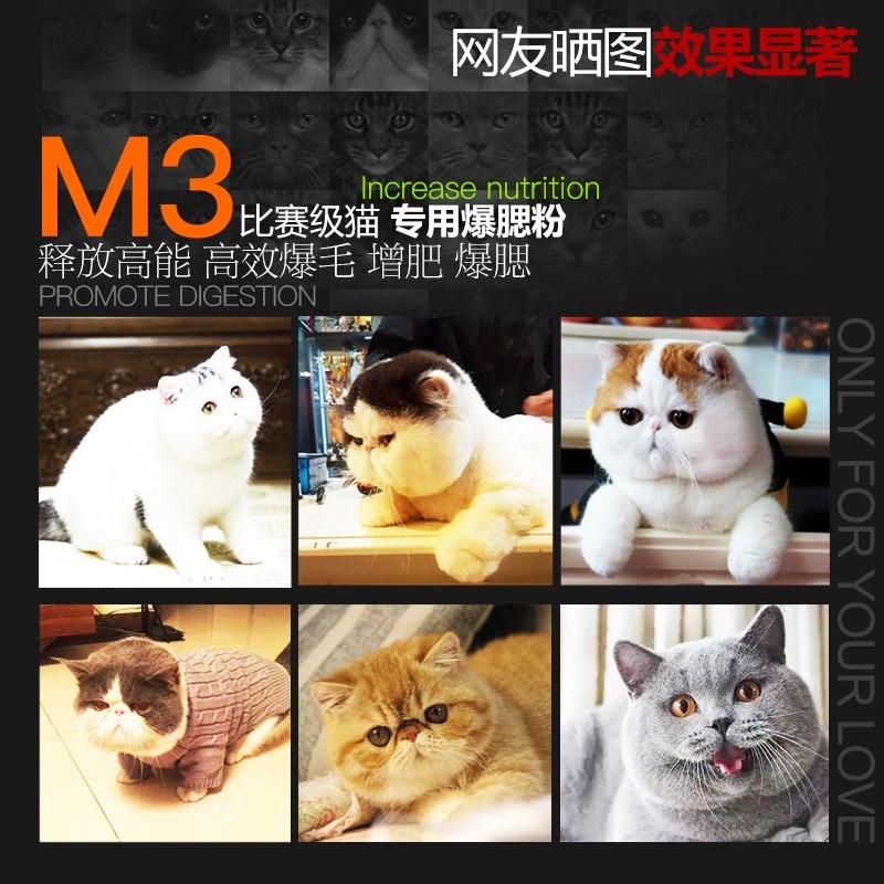 M3发腮神器发腮粉猫加菲布偶营养增肥爆腮粉猫保健猫咪幼猫美毛