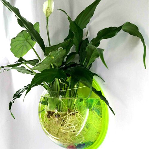 亚克力壁挂鱼缸家居墙上悬挂金鱼缸大中小型迷你水族箱养花鱼草