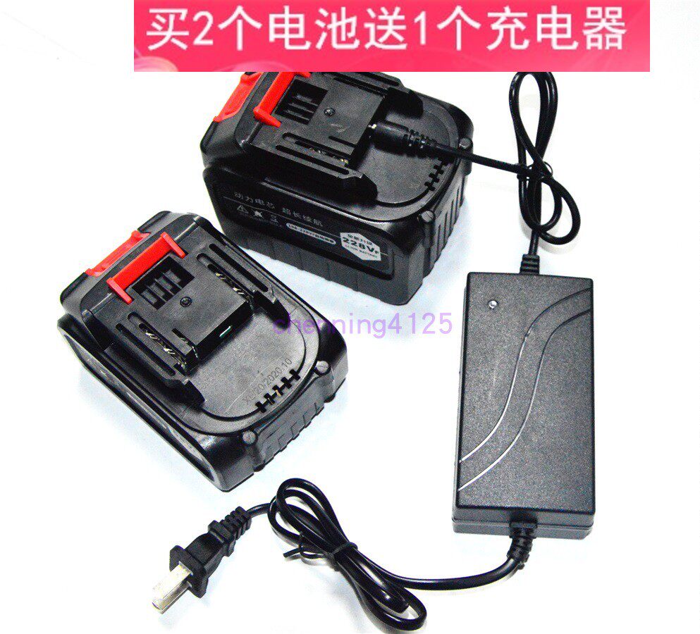 20V 21V 48VF高压洗车清洗机水泵锂电池 旭龙关心进军蛟龙充电器