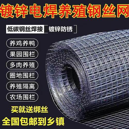 镀锌铁丝网加粗围栏防鼠防鸟隔离栅栏水泥防裂养殖圈地不锈钢筛网