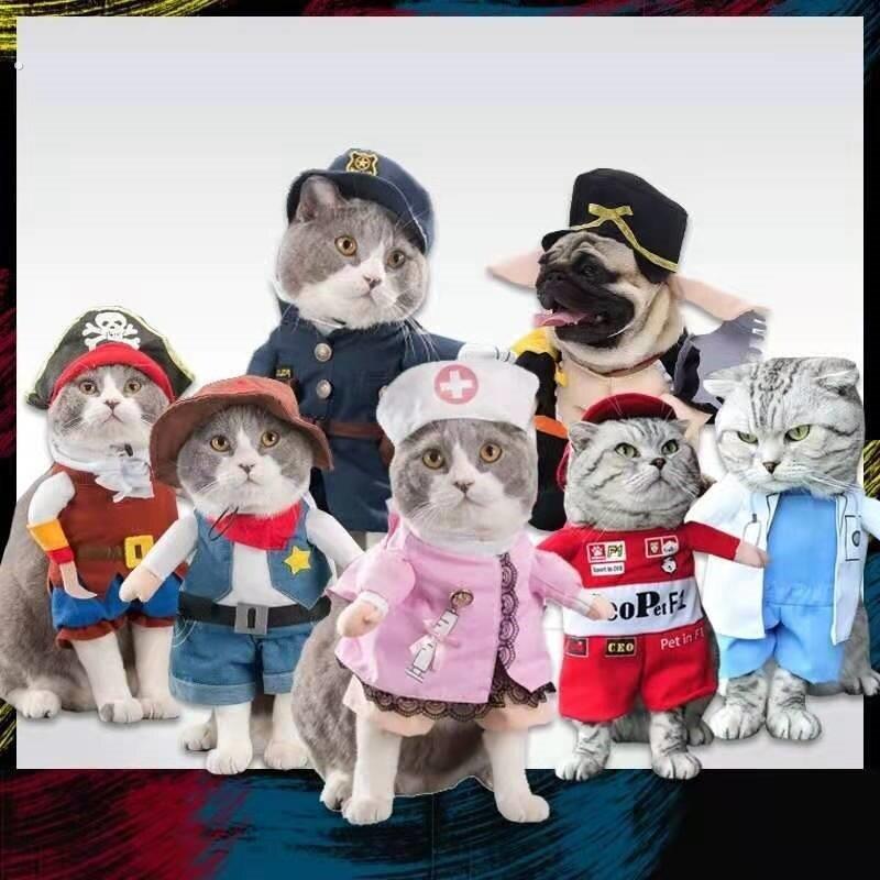 猫咪衣服狗狗宠物服饰可爱小猫咪夏季搞笑搞怪装立体衣服拍摄道具