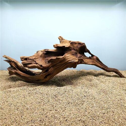爬宠缸造景沉木树蛙睫角守宫鬃狮雨林缸雨缸装饰小珊瑚木凤梨树根