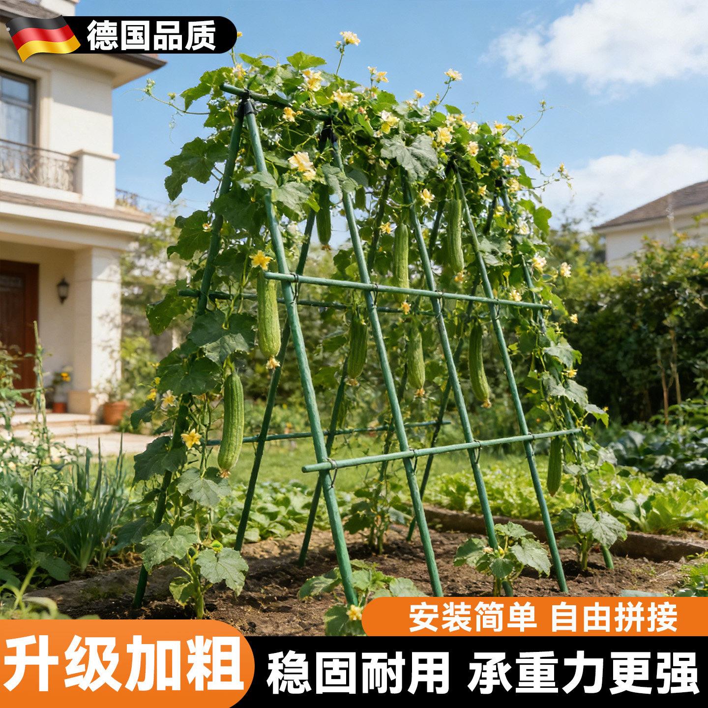 种菜支撑杆丝瓜爬藤架搭豆角架庭院种菜架子西红柿支撑架黄瓜架子