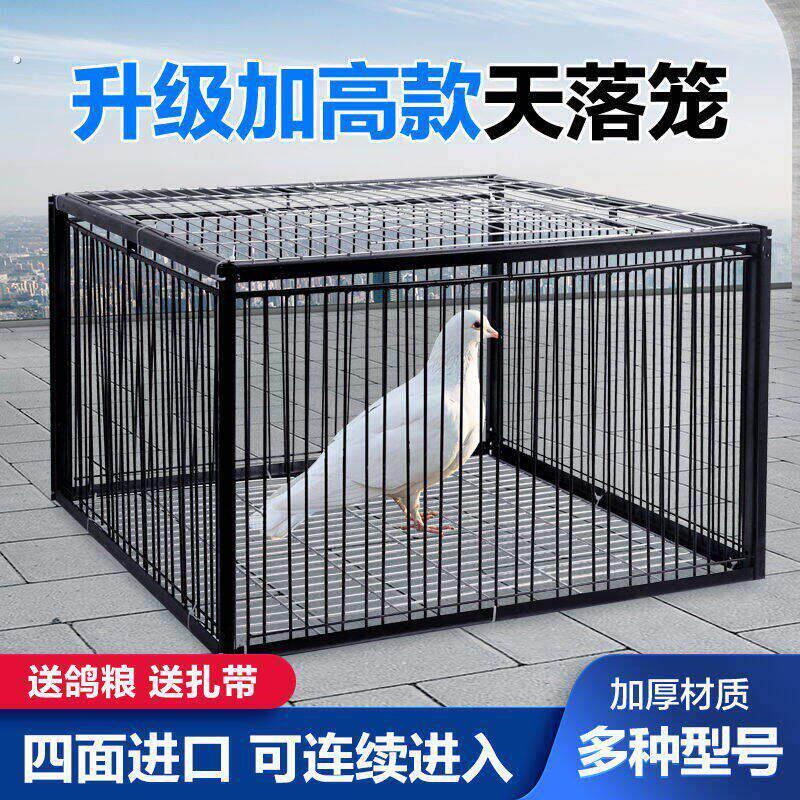 捕子野鸽神器天落笼撞门鸽子笼户外全自动特大号户外收回归活动门