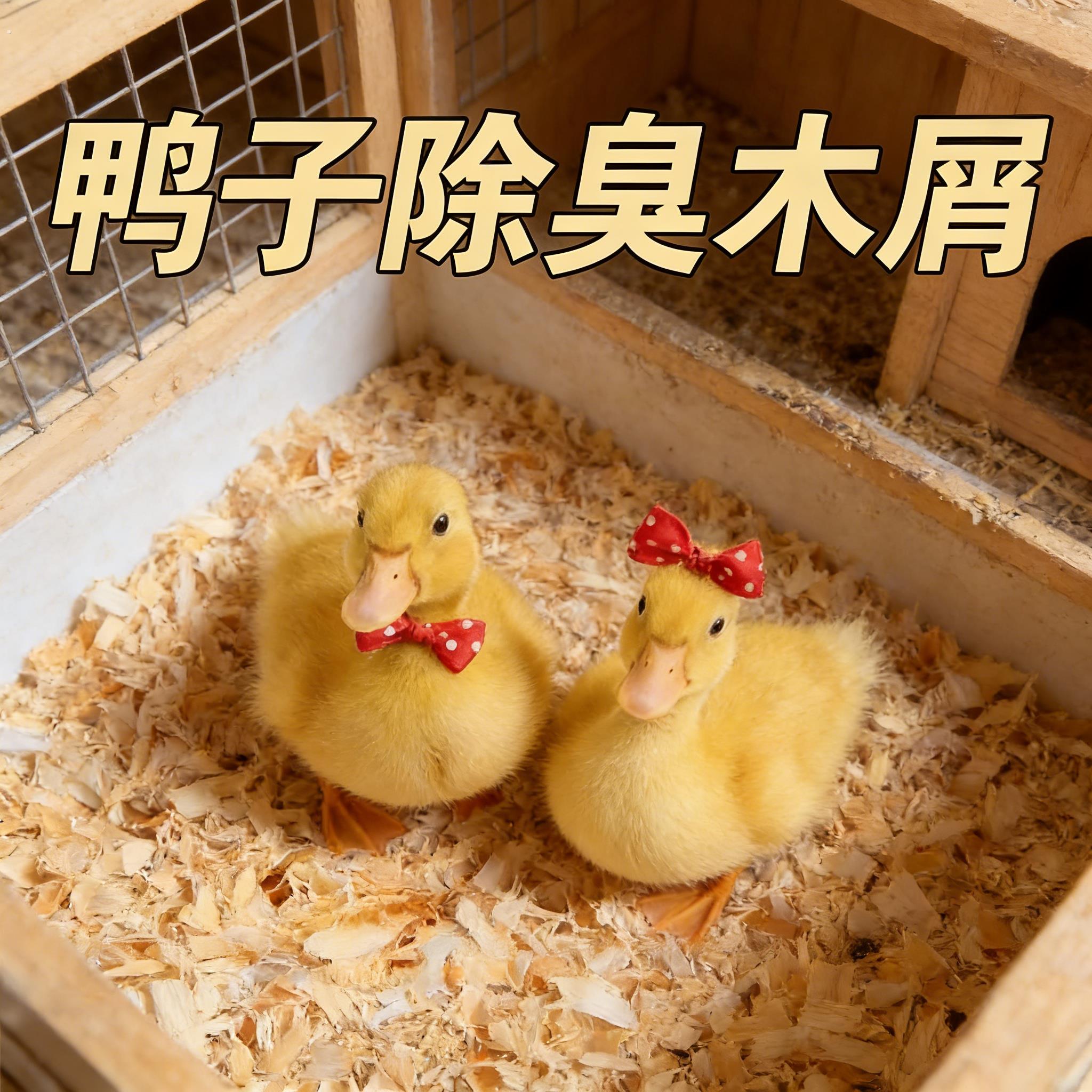 垂耳兔宠物柯尔鸭小鸡垫料专用厕所去味木屑小动芦丁鸡宠物夏天除