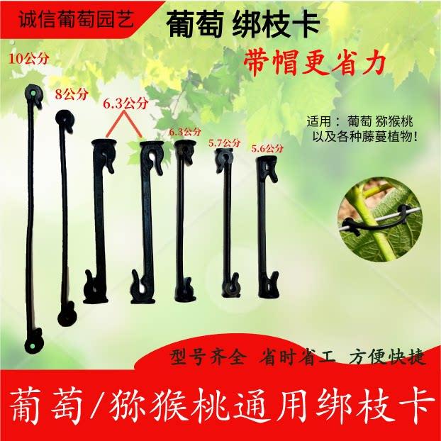新款农用葡萄绑枝卡猕猴桃绑枝卡葡萄卡扣卡子葡萄绑枝扣