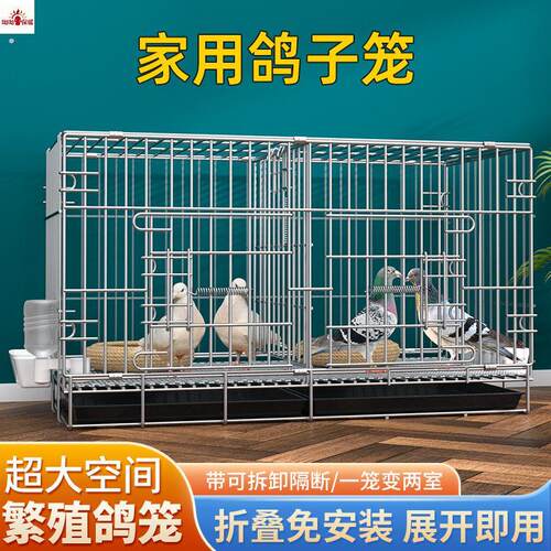 鸽子笼家用养殖笼鸽子配对笼大号带隔断繁殖养殖鸽笼鸟笼繁殖箱