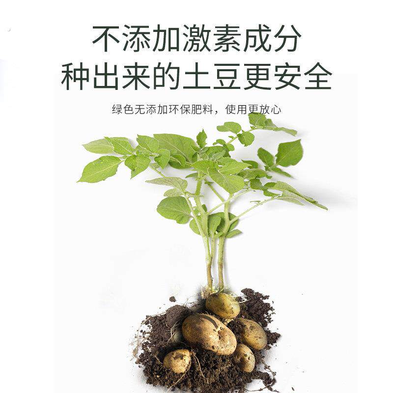 施可丰 土豆马铃薯复合肥专用型化肥料种植洋芋缓释肥有机肥家用