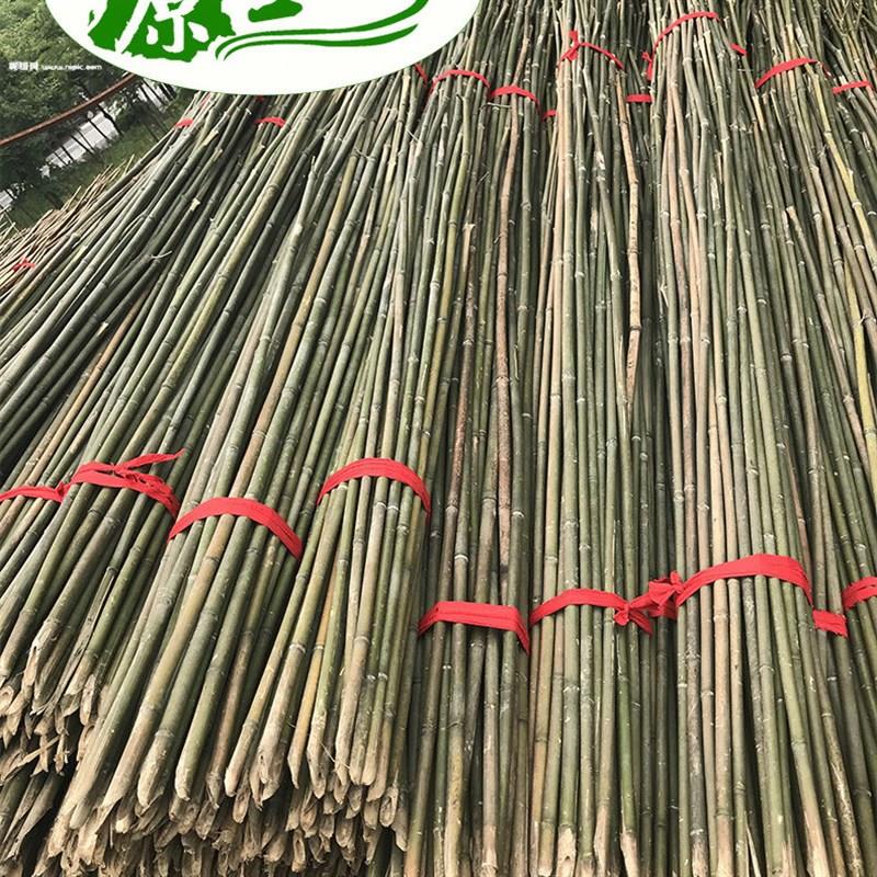 竹竿菜园搭架细竹竿豆角黄瓜番茄西红柿蔬菜爬藤架种菜长竹竿支架